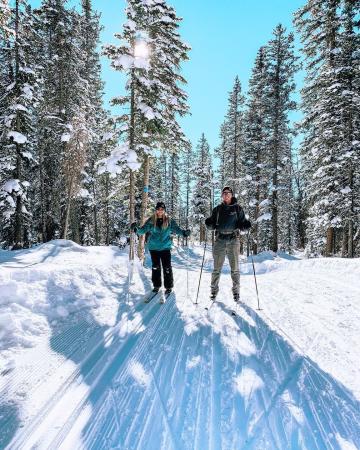 Cross Country Skiing