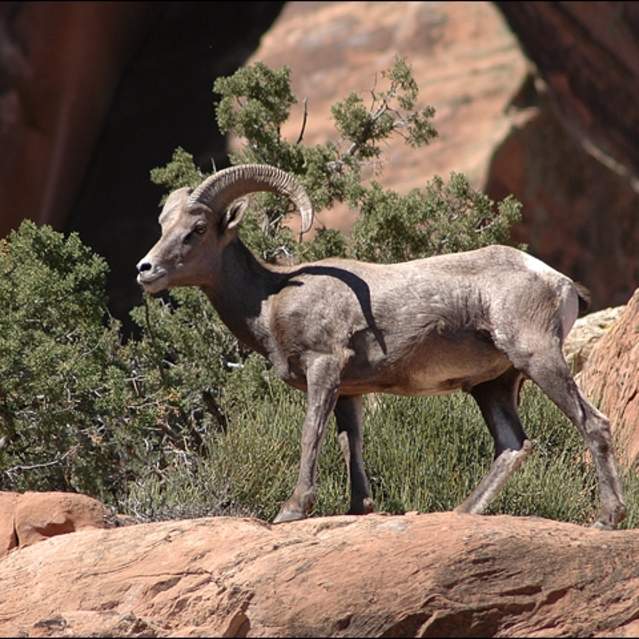 Colorado National Monument
