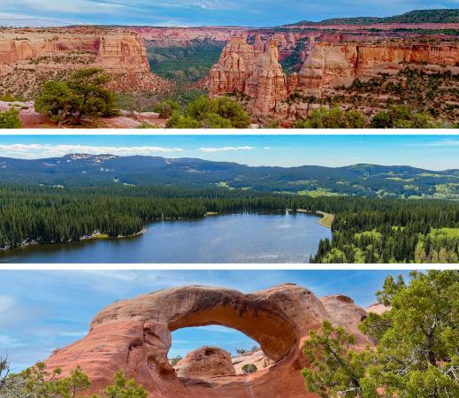 Nature's Trifecta