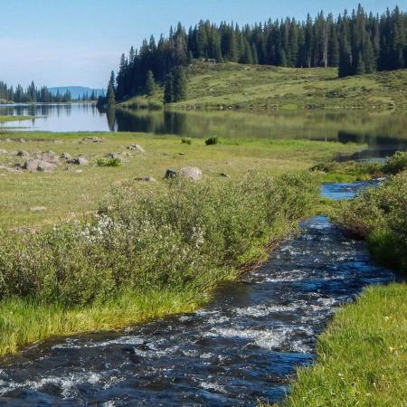 Creek on the Grand Mesa