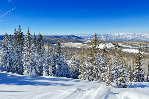 Winter Activities on the Grand Mesa