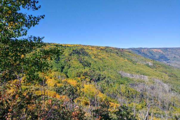 A Guide to the Grand Mesa - The Largest Flat-Top Mountain in the World