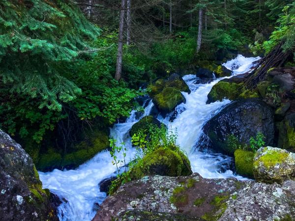 Creek on the Grand Mesa