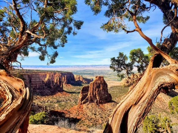 Nature's Trifecta: Colorado National Monument
