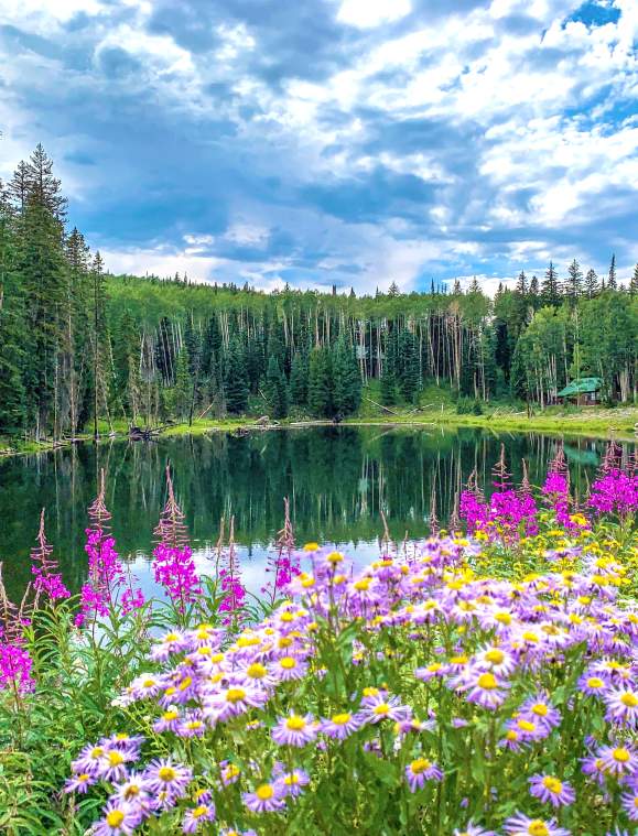 Nature's Trifecta: The Grand Mesa