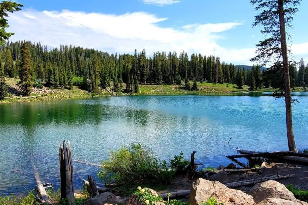 Insider's Guide to the Grand Mesa