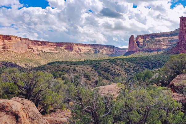 View of Monument Canyon in Colorado National Monument