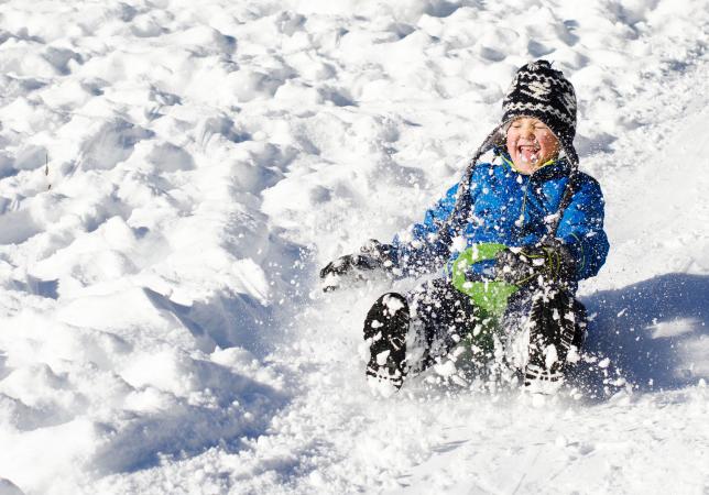 Small Child Sledding in the Snow