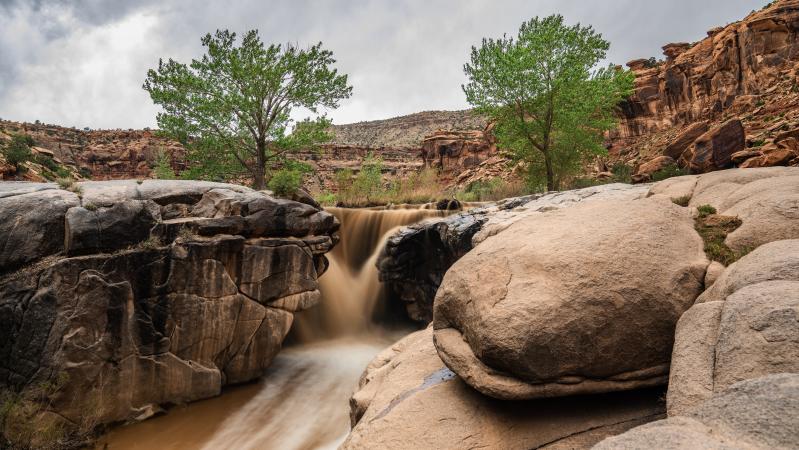 Camping in Grand Junction's BLM