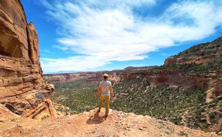 Man Overlooking Canyon in Colorado National Monument