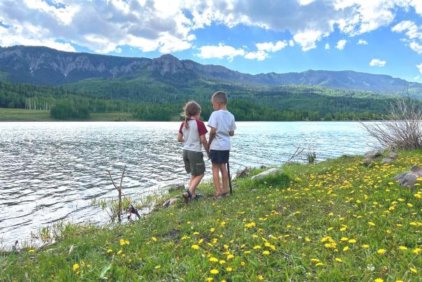 Foraging in Colorado: 8 Foods to Find