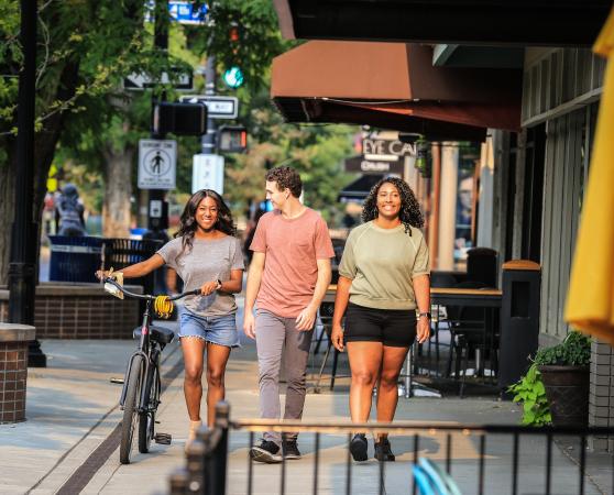 Picture of People Walking Through Downtown