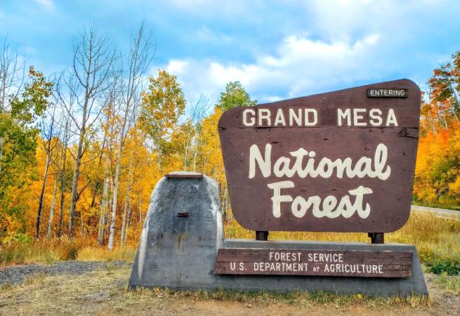 Picture of the Entering Grand Mesa National Forest Sign