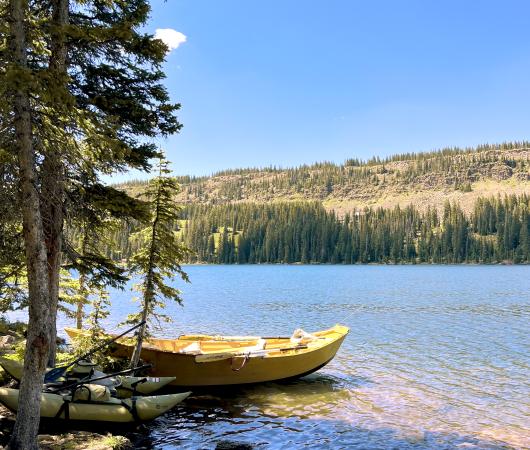 Canoe on the Bank of Island Lake