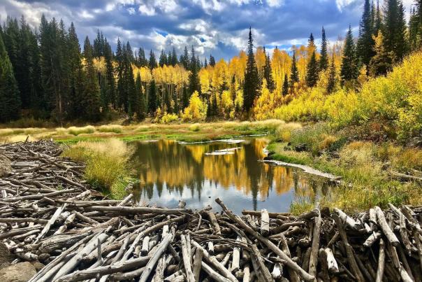 Scenic Fall Drives in Grand Junction, Colorado
