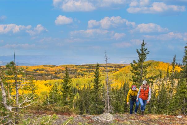 Two people hiking in the fall on the Grand Mesa