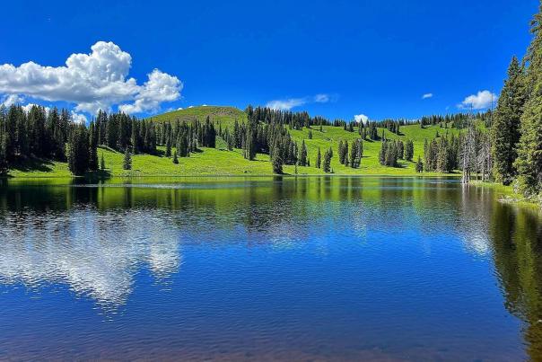 Grand Mesa Lakes: Top Lakes in Grand Mesa