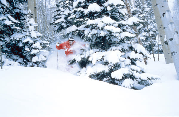 GRandMesa treeskier rsz