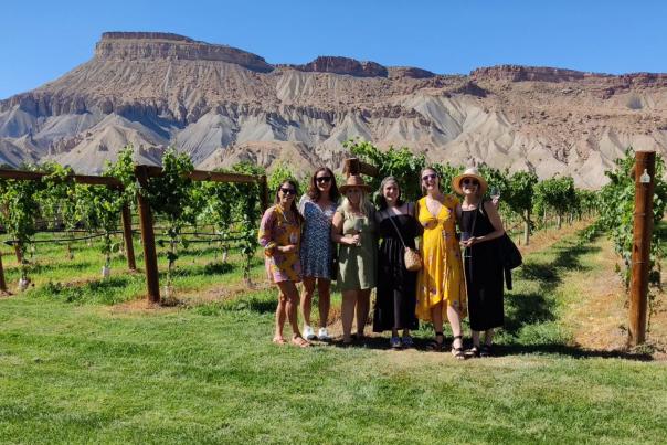 Picture of a Group of Women Standing in Front of Grapevines
