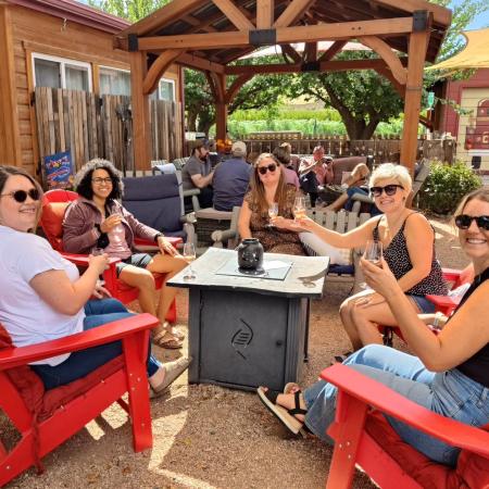 Five Women Wine Tasting at Vinelands 79
