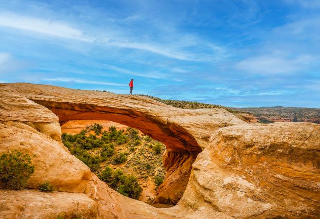 Rattlesnake Arches