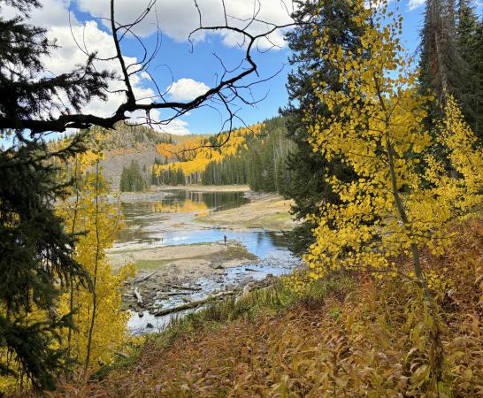 View of Mesa Lake in the Fall on the Grand Mesa