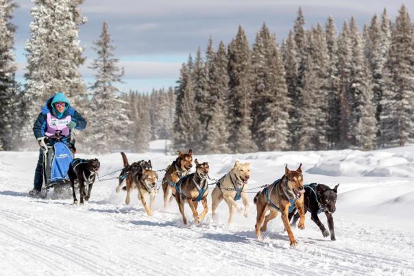 Grand Junction Mentioned as a Winter Wonderland by Pride Journeys