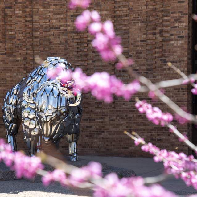 Art on The Corner with Blossoms
