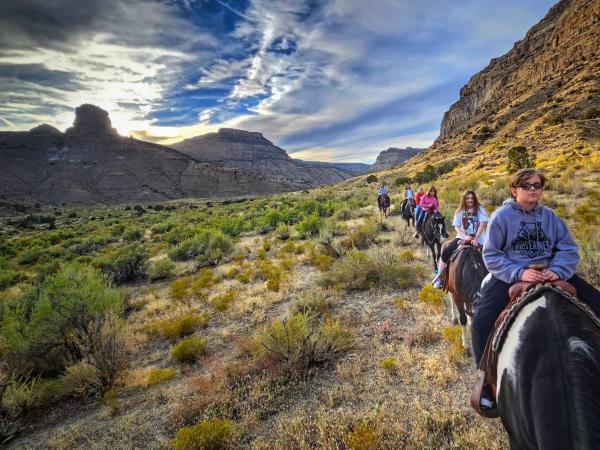 Horseback Guided Tours