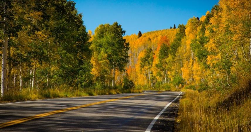 Grand Mesa Scenic Byway in the Fall