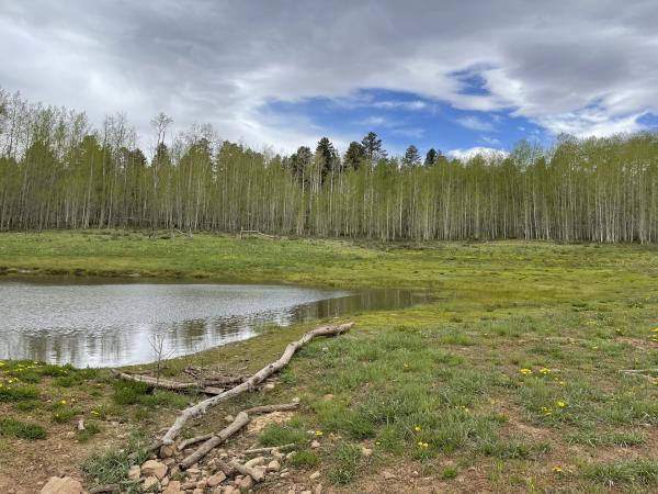 View of a Lake on the Uncompahgre