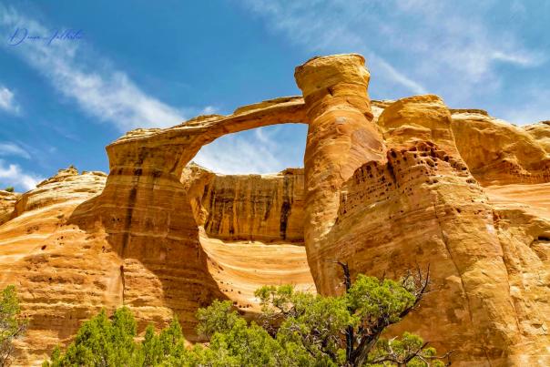 Grand Junction Featured on Live Television for Great Day Colorado