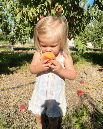 Young girl eating a peach in a orchard