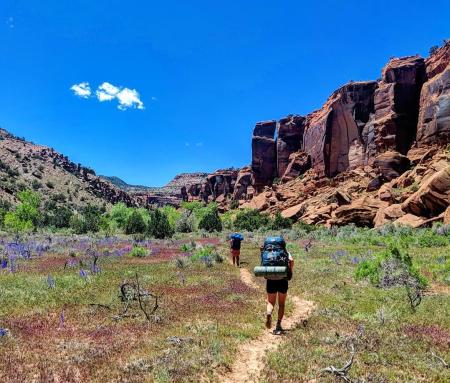 Two people hiking in Dominguez-Escalante Canyon