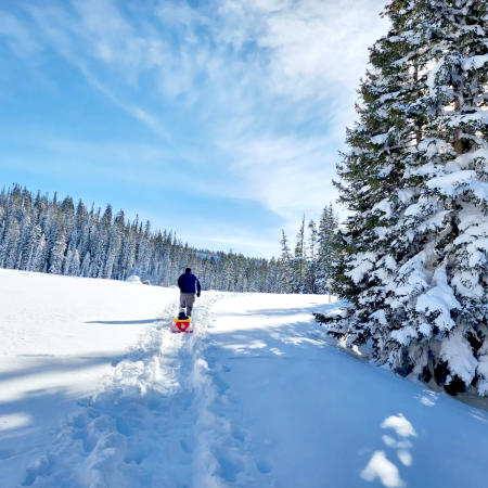 Dad Pulling Child in Sled on the Grand Mesa