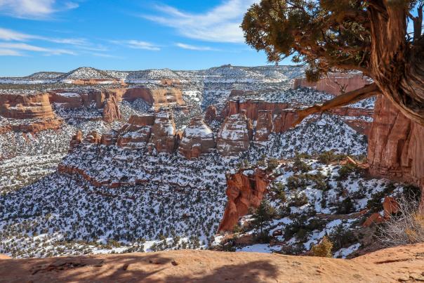 View of Colorado National Monument in the Winter