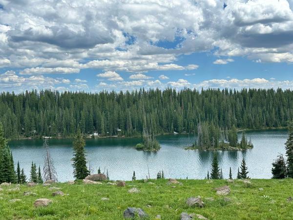 Image of Island Lake