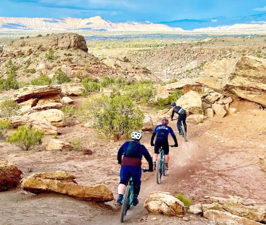 Three Men Mountain Biking Outside of Grand Junction