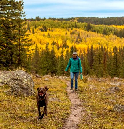 Woman and Dog Walking along a Trail on the Grand Mesa