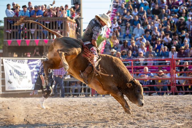 Bull Rider in rodeo