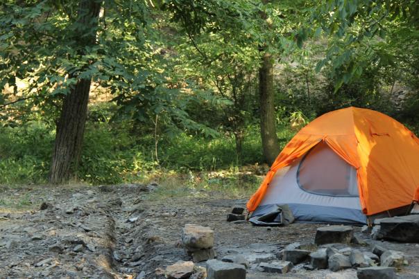 Orange Tent in the Forest