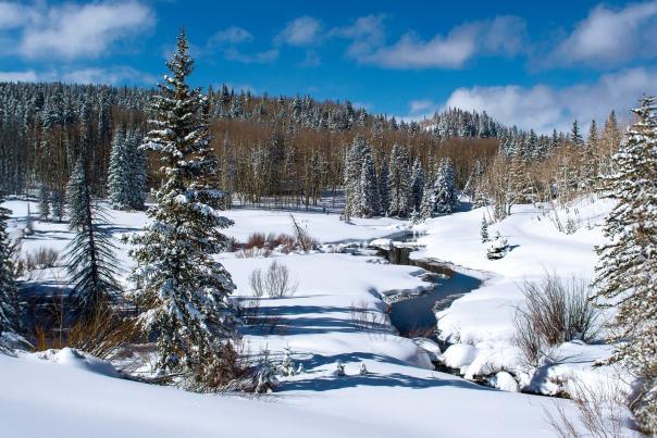 Winter Landscape View on the Grand Mesa