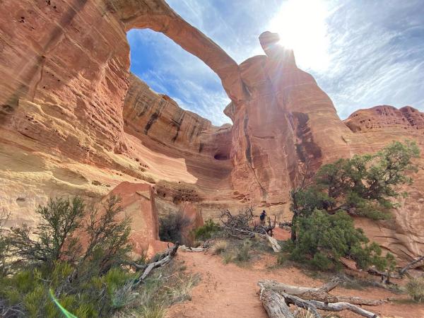 Rattlesnake Arches