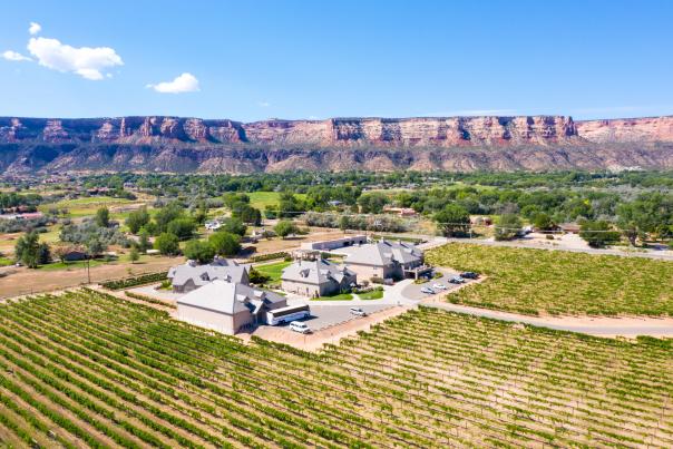 View of Two Rivers Winery with Colorado National Monument in the Background