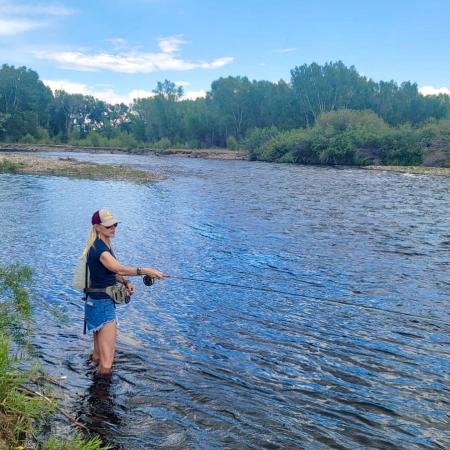 Woman Fly Fishing in the Gunnison River