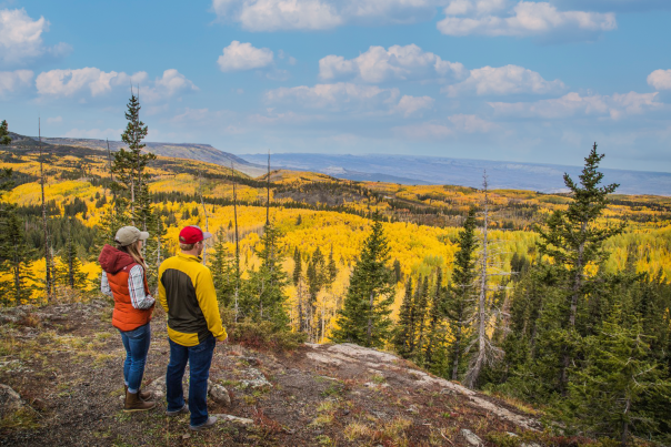 22 Things to Do in Grand Junction, COLORADO in 2022!