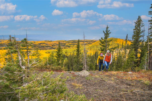 Alpine Lake Hikes on the Grand Mesa, World’s Largest Flat-Top Mountain